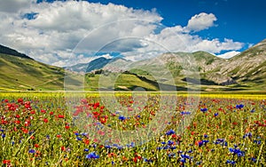 Piano Grande mountain plateau, Umbria, Italy