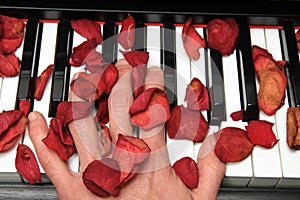 Piano hand and roses