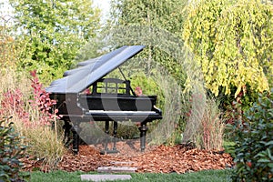 Piano iat autumn park or garden photo