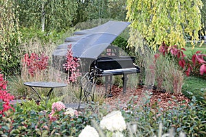 Piano iat autumn park or garden photo