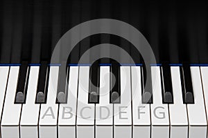 Piano Keyboard Octave with Labels photo