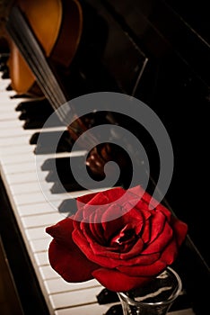 Piano keyboard and rose