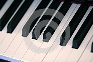 Piano Keys photo