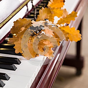 Piano keys with bright autumn oak leaves