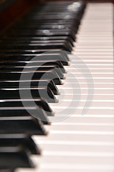 Piano keys.Musical instrument.