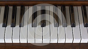 Piano Keys Old Time Ebony on White Grand