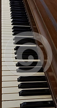 Piano Keys Vertical View photo