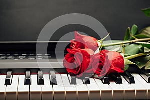 Piano keys and red rose