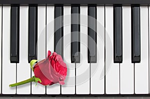 Piano keys and red rose, romantic music