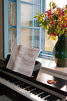 Piano at open window