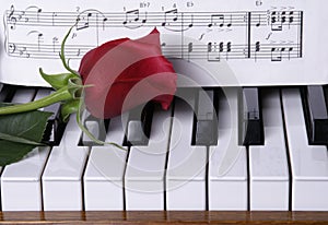 Piano with Red Rose