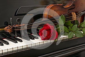 Piano red rose violin photo