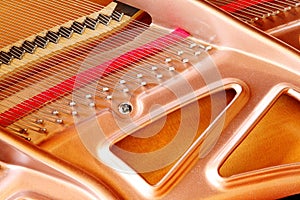 Strings and soundboard in a grand piano.