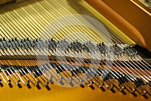 Piano strings detail