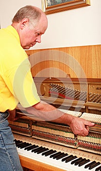 Piano tuner