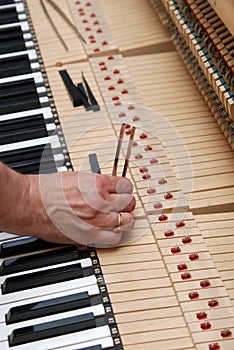 Piano tuning 3