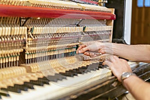 Piano tuning process. closeup of hand and tools of tuner working on grand piano. Detailed view of Upright Piano during a tuning.