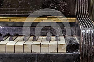 Pianoforte, front view instrument, musical instrument. learn to play the instrument at home. white large piano. piano keyboard.