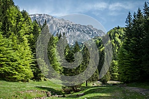 The Piatra Craiului Mountain range in the Southern Carpathians, Romania