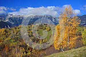 Piatra Craiului mountains