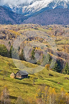 Piatra Craiului mountains view