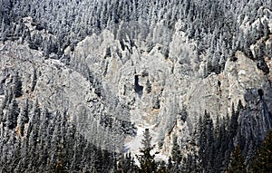 Piatra Craiului ridge in winter