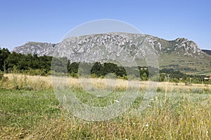 Summer landscape in Piatra Secuiului Mountain (1129m), Transylvania, Romania, Europe photo