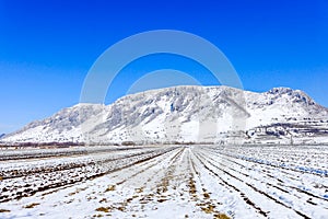 Piatra Secuiului, Szekelyko mountain