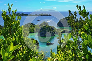 Piaynemo geosite view, Raja Ampat, West Papua, Indonesia