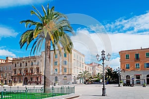 Piazza d'Italia and palm