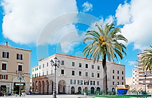 Piazza d'italia palm