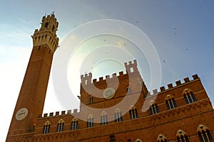 Piazza del Campo is the main square of Siena with view on Palazzo Pubblico photo