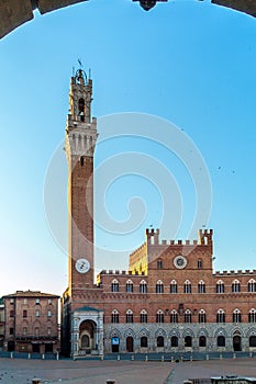 Piazza del Campo with the Mangia Tower