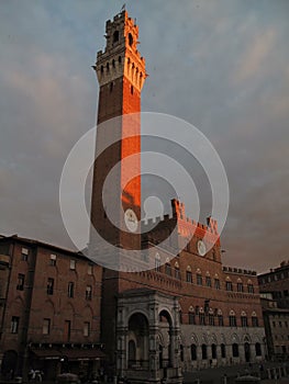 Piazza del Campo, Siena