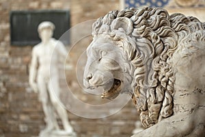 Piazza Della Signoria photo