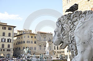 Piazza della Signoria in Florence, Italy