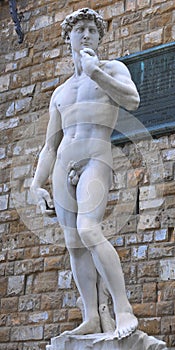 Piazza della Signoria statue of David by Michelangelo and Palazzo Vecchio of Florence view, Tuscany