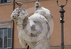 Piazza Navona - Rome Italy 3