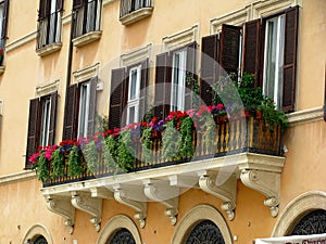 Piazza Navona Windows