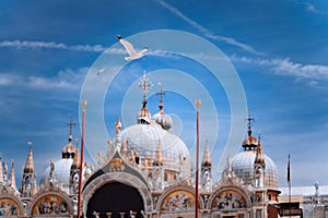 Piazza San Marco Saint Mark Square with Basilica di San Marco. Roof architecture details with flying seagull bird