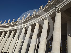Piazza San Pietro Columns