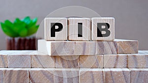 PIB - acronym on wooden cubes on the background of wooden blocks and cactus photo