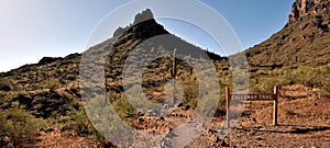 At the Picacho Peak