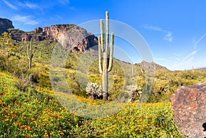 Picacho Peak State Park