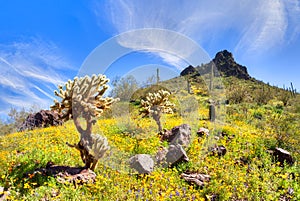 Picacho Peak State Park
