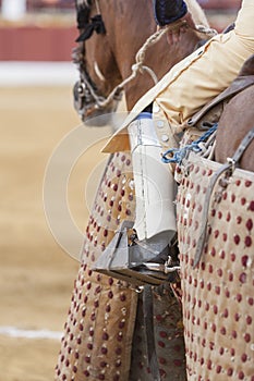 Picador bullfighter, lancer whose job it is to weaken bull's