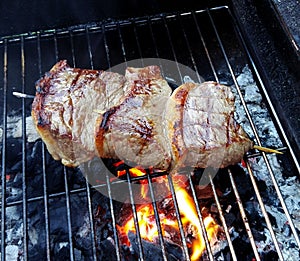 Picanha skewer on the barbecue grill with embers and flames