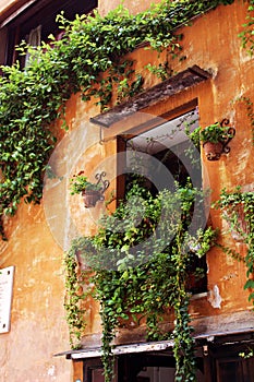 Picasso`s window in Rome photo