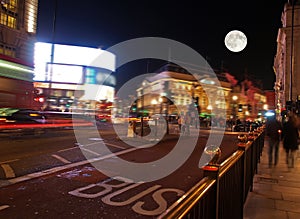 The piccadilly circus at night