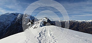 Picco leone switzerland mountain snow